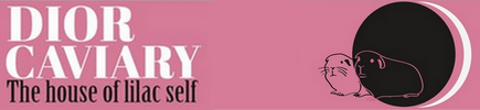 Baner